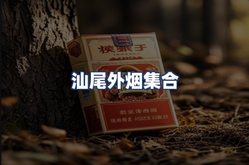 汕尾外烟集合